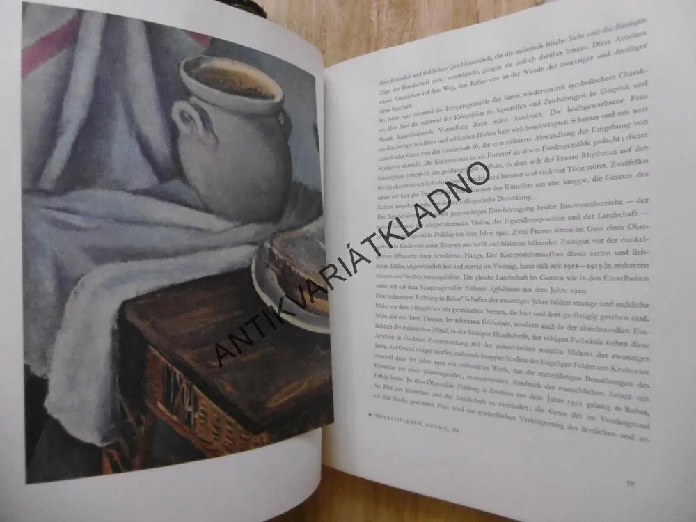 VÁCLAV RABAS, MALER DER HEIMISCHEN SCHOLLE, JIŘÍ KOTALÍK, VÝTVARNÉ UMĚNÍ, **an