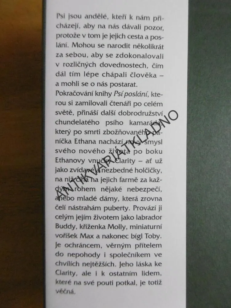 PSÍ CESTA, W. BRUCE CAMERON,  **an