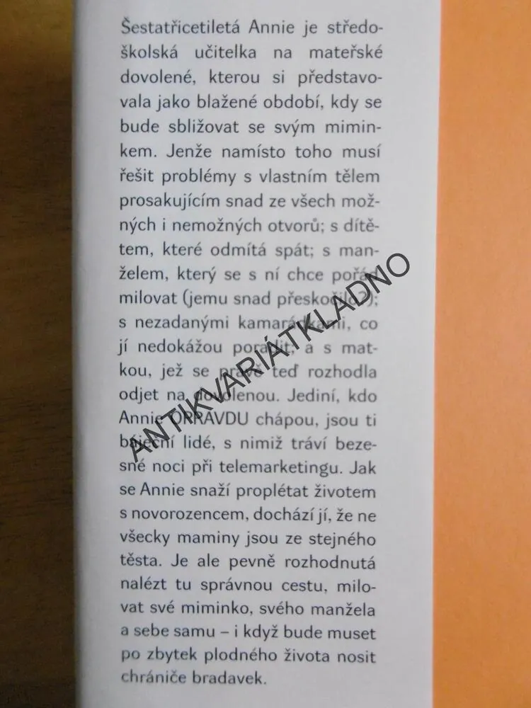 MATEŘSKÁ, ALE URČITĚ NE DOVOLENÁ, JULIE HALPERNOVÁ, **an