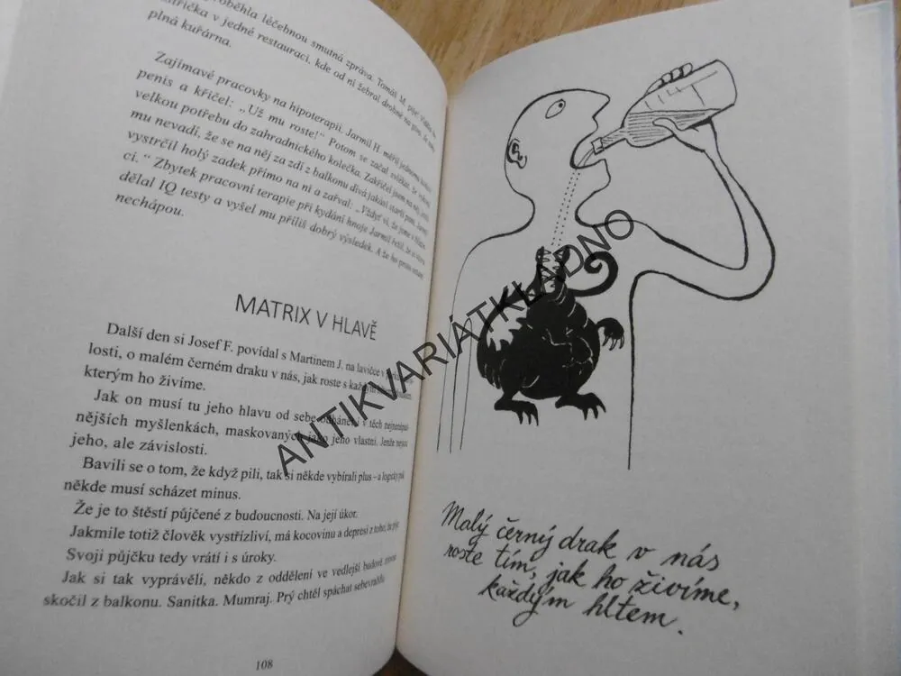 ÚSMĚVY SMUTNÝCH MUŽŮ, JOSEF FORMÁNEK, **an