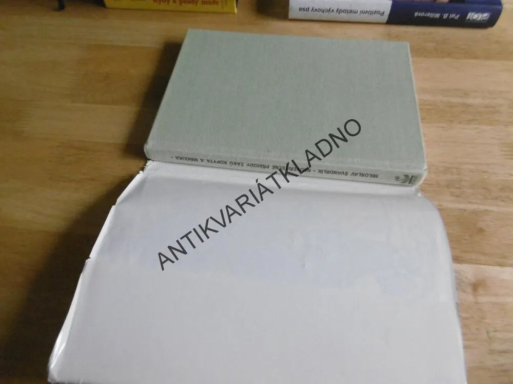 NEUVĚŘITELNÉ PŘÍHODY ŽÁKŮ KOPYTA A MŇOUKA, ŠVANDRLÍK, NEPRAKTA, **an