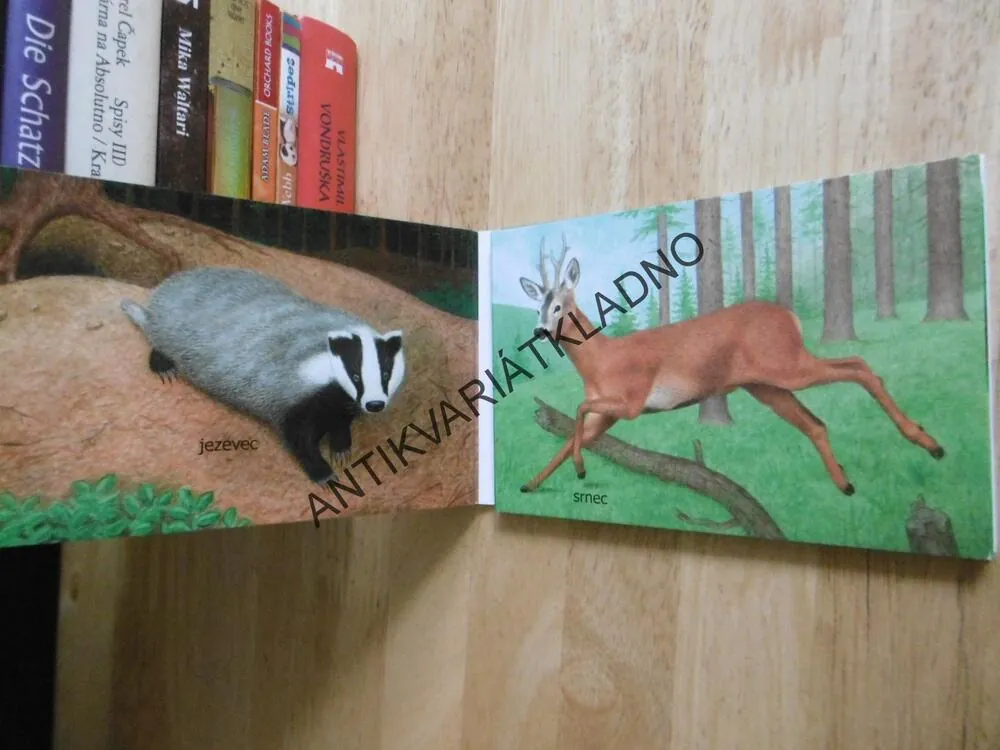 V LESE, POZNEJ ZVÍŘÁTKA, LEPORELO
