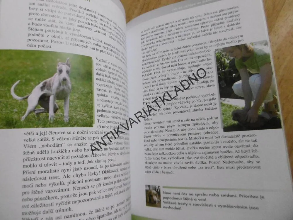 OD ŠTĚNĚTE KE PSU, JAK VYCHOVAT BEZPROBLÉMOVÉHO PSA, HANA ŽERTOVÁ, **an