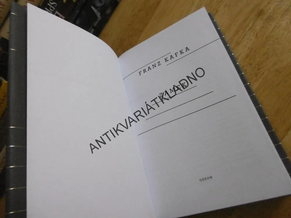 ZÁMEK, FRANZ KAFKA, **an