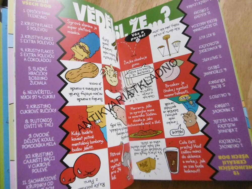 PRŮVODCE ŽIVOTEM, SIMPSONOVI, BART SIMPSON, **an