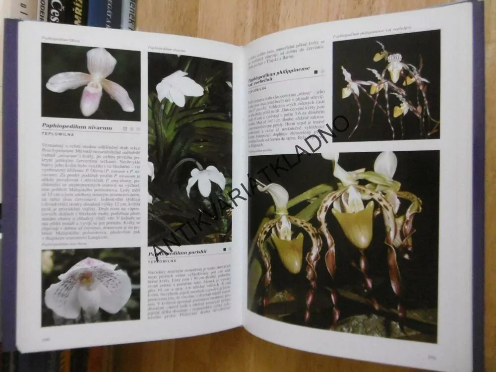 ENCYKLOPEDIE ORCHIDEJÍ, ZDENĚK JEŽEK, **an