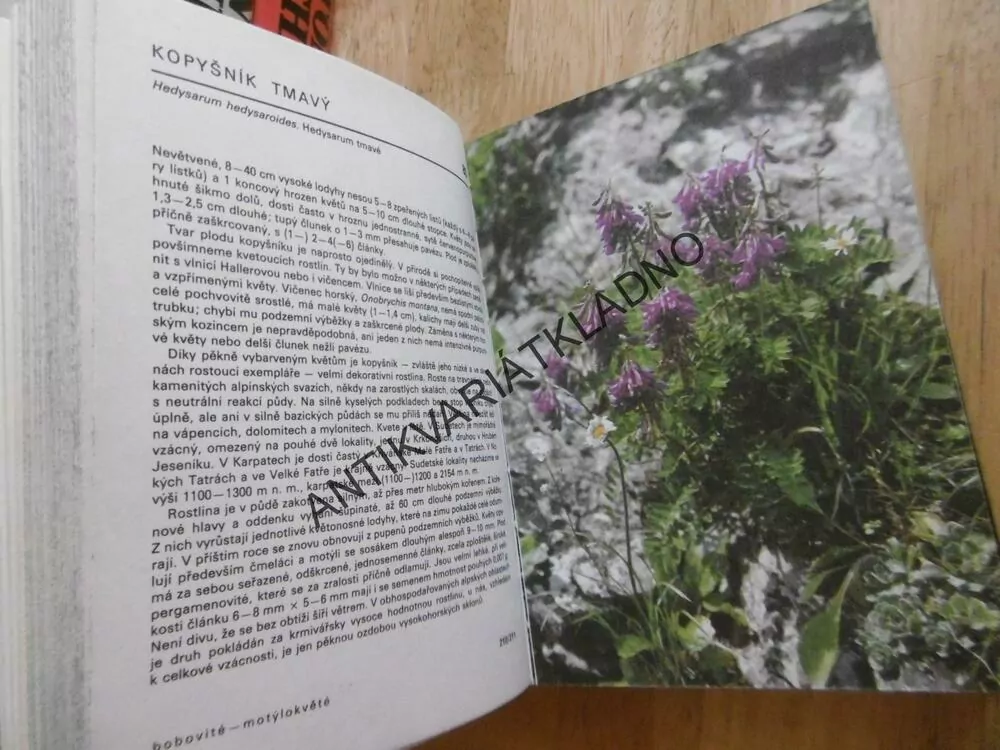 KAPESNÍ ATLAS - ROSTLINY NAŠICH HOR, JIŘÍ SOJÁK, **an
