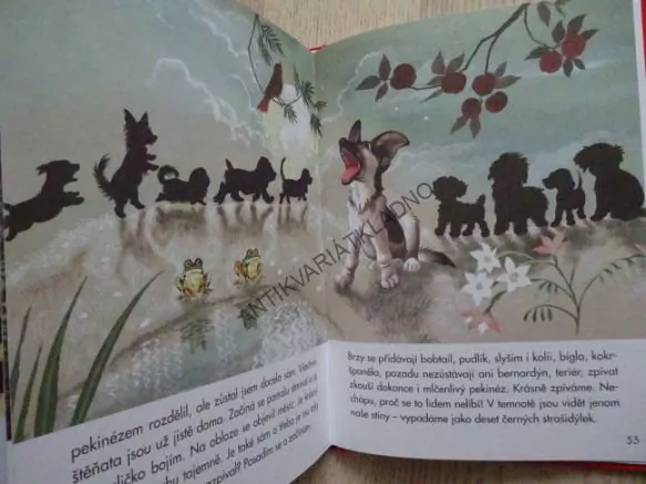 JAK SI HRAJÍ ZVÍŘÁTKA, **an