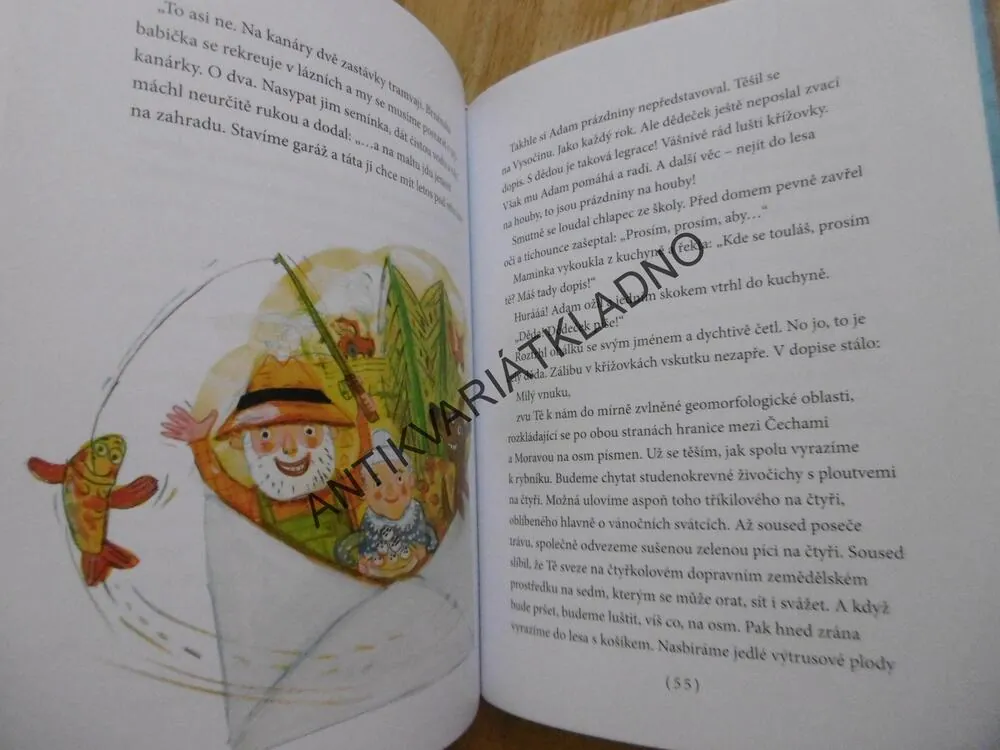 VŠEHOCHUŤ, STANISLAVA RESCHOVÁ, EVA SÝKOROVÝ-PEKÁRKOVÁ, **an