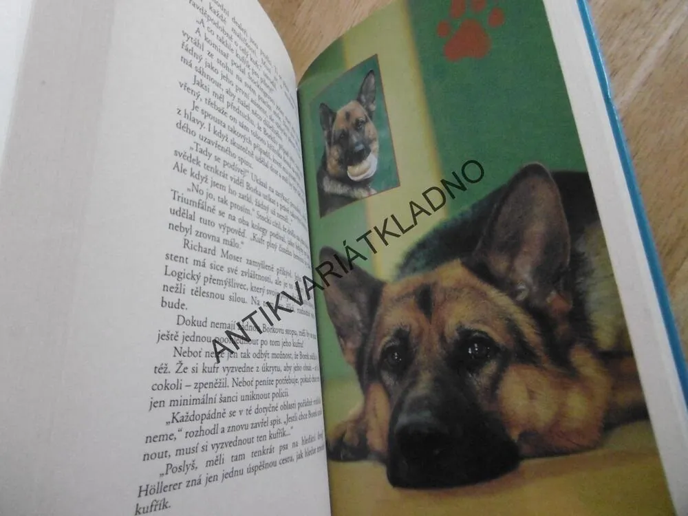 KOMISAŘ REX, PSÍ DETEKTIV V AKCI, TANEC NA SOPCE, **an