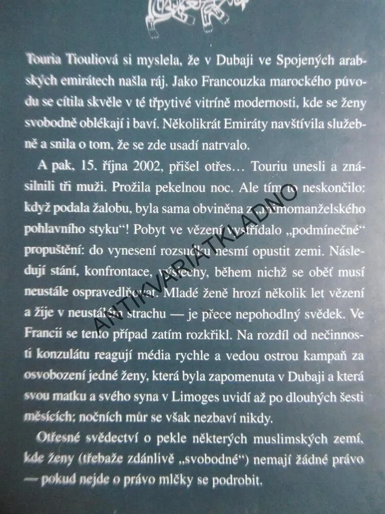 ZNIČENÁ, TOURIA TIOULIOVÁ, V DUBAJSKÉM BVĚZENÍ ZA TO, ŽE BYLA ZNÁSILNĚNA, **an