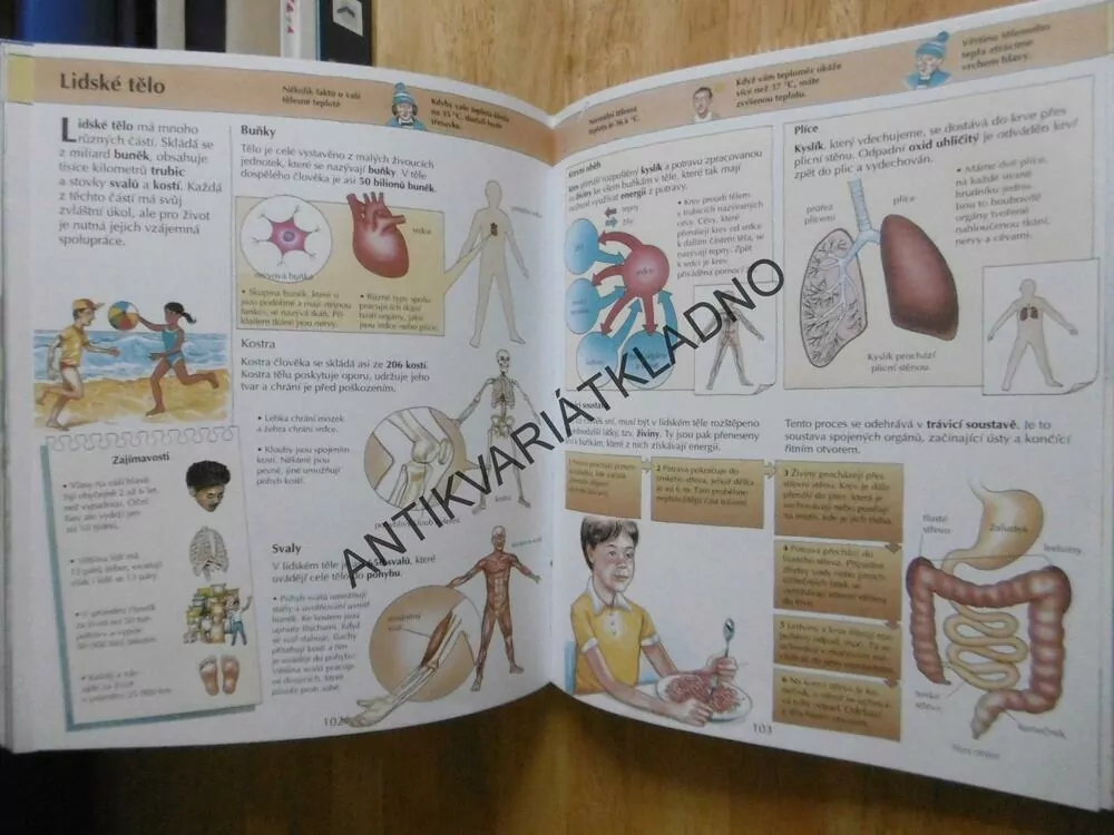 5000 ZAJÍMAVOSTÍ O SVĚTĚ KOLEM NÁS, VELKÁ ŠKOLNÍ ENCYKLOPEDIE, **an