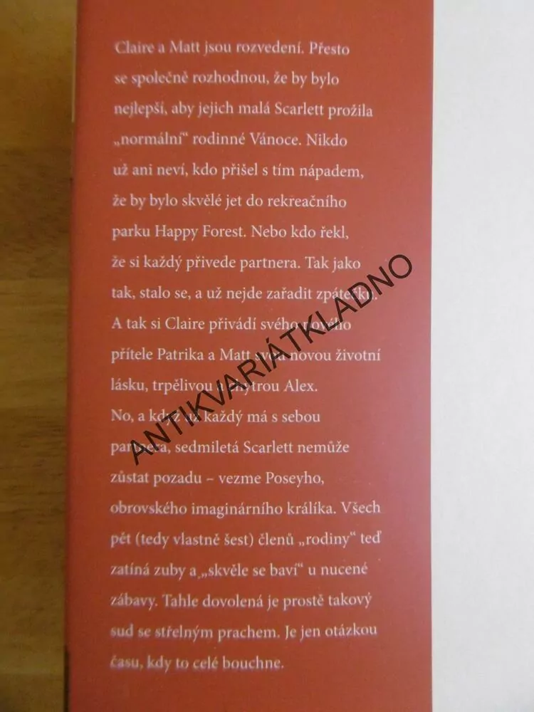 DOSPĚLÍ A TI DRUZÍ, CAROLINE HULSEOVÁ,**an