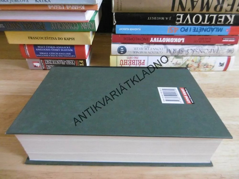 IDIOT, FJODOR MICHAJLOVIČ DOSTOJEVSKIJ, **an