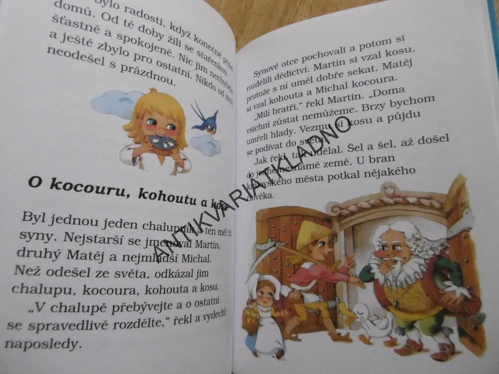 ZVÍŘÁTKA A LOUPEŽNÍCI, DAGMAR JEŽKOVÁ, **an