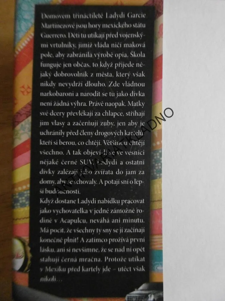 UKRADENÉ MODLITBY, JENNIFER CLEMENTOVÁ, **an