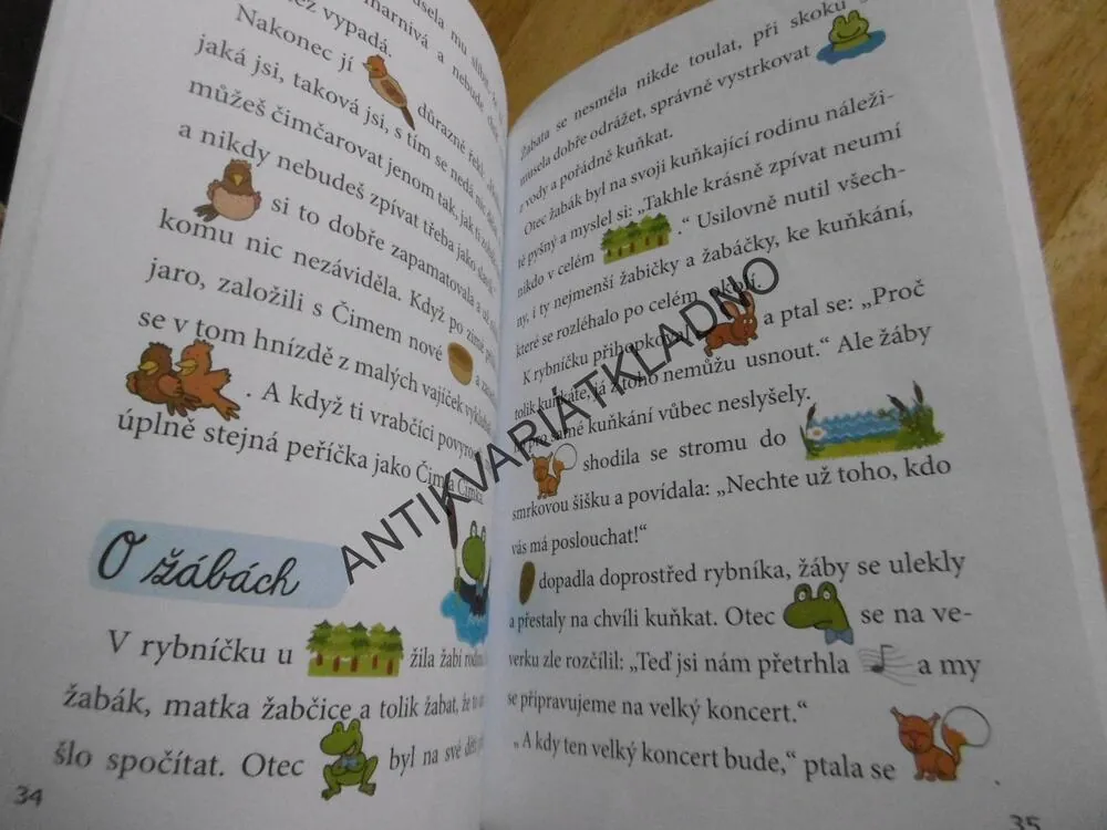 OBRÁZKOVÉ ČTENÍ, O PROBUZENÍ NA DVORKU