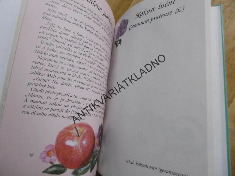 MŮJ POHÁDKOVÝ HERBÁŘ, LUČNÍ ROSTLINY, IVA HOŇKOVÁ, **an