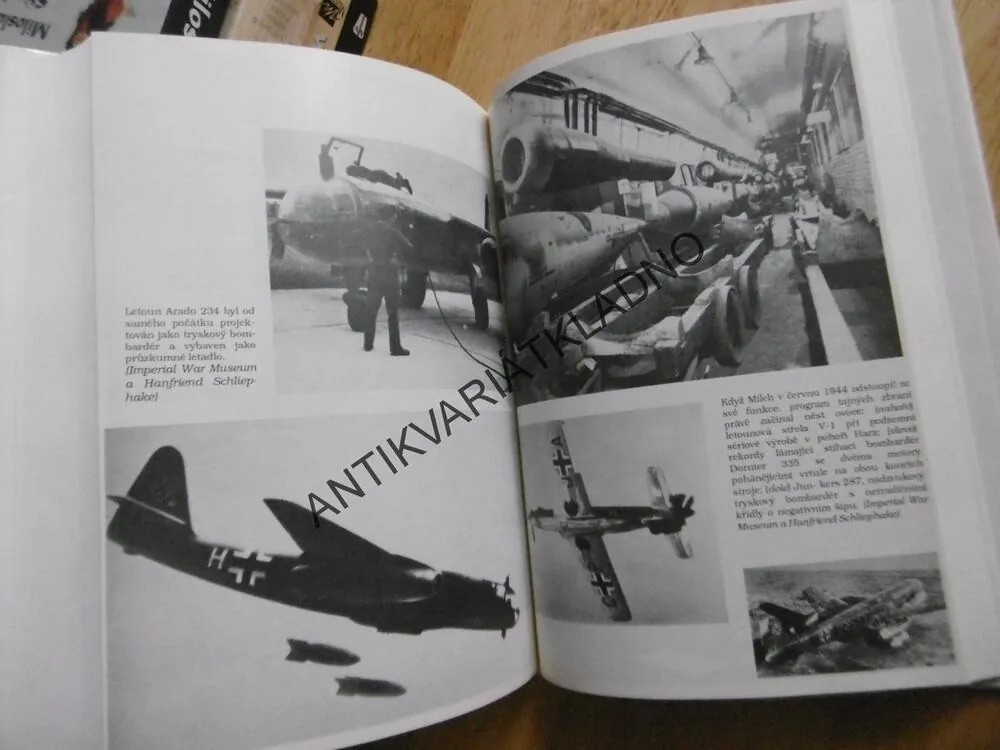 LUFTWAFFE VZESTUP A PÁD, DAVID IRVING, **an