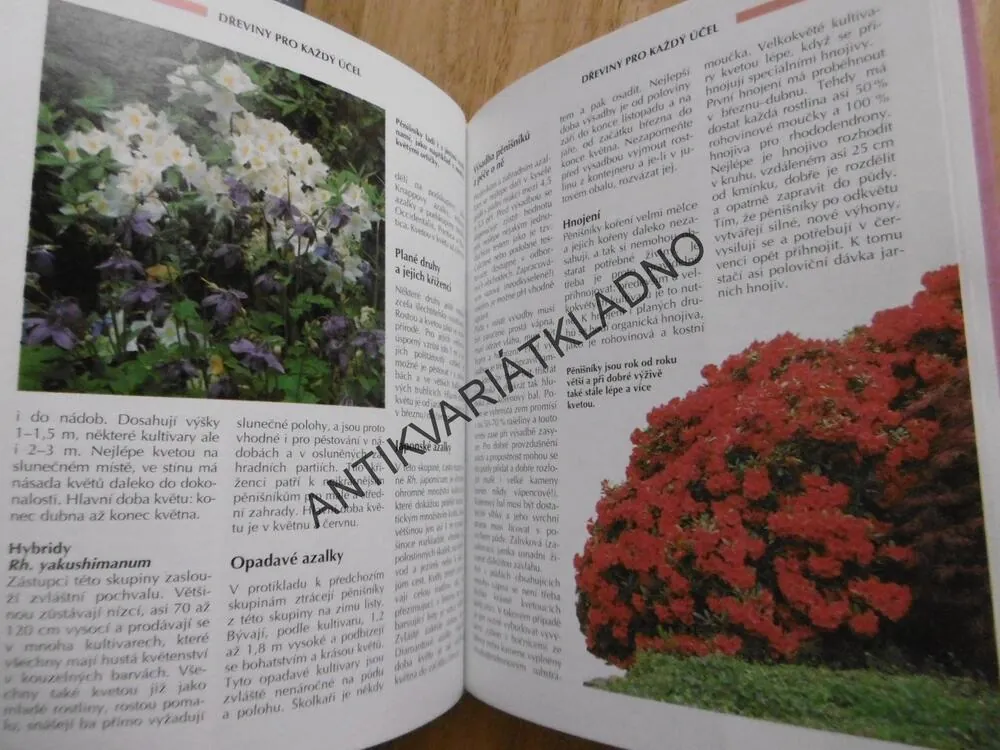 OKRASNÉ DŘEVINY, PRAKTICKÝ RÁDCE, KARLHEINZ JACOBI, **an