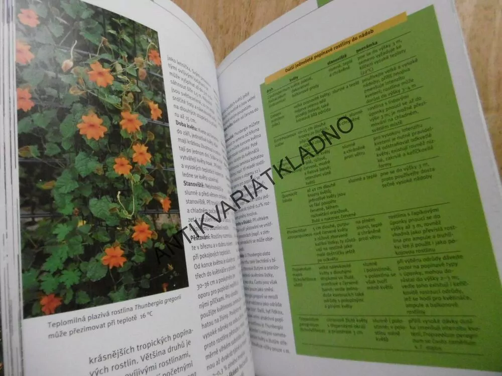 BALKONOVÉ ROSTLINY, VÝBĚR, SESTAVY, PÉČE, ZAHRADA PLUS, **an