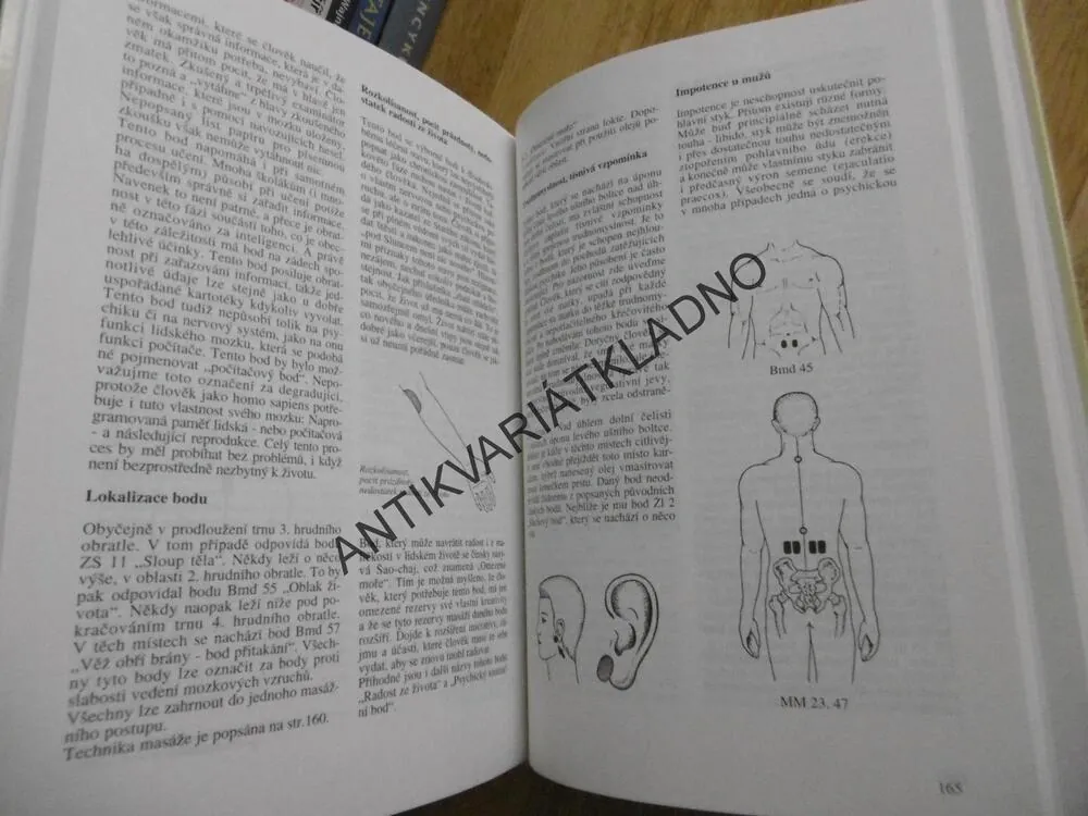 PŘÍRODNÍ LÉČITELSTVÍ V DOMÁCÍ PRAXI, ULF BÖHMIG, POMOZ SI SÁM, ZDRAVÍ BEZ LÉKŮ, **an