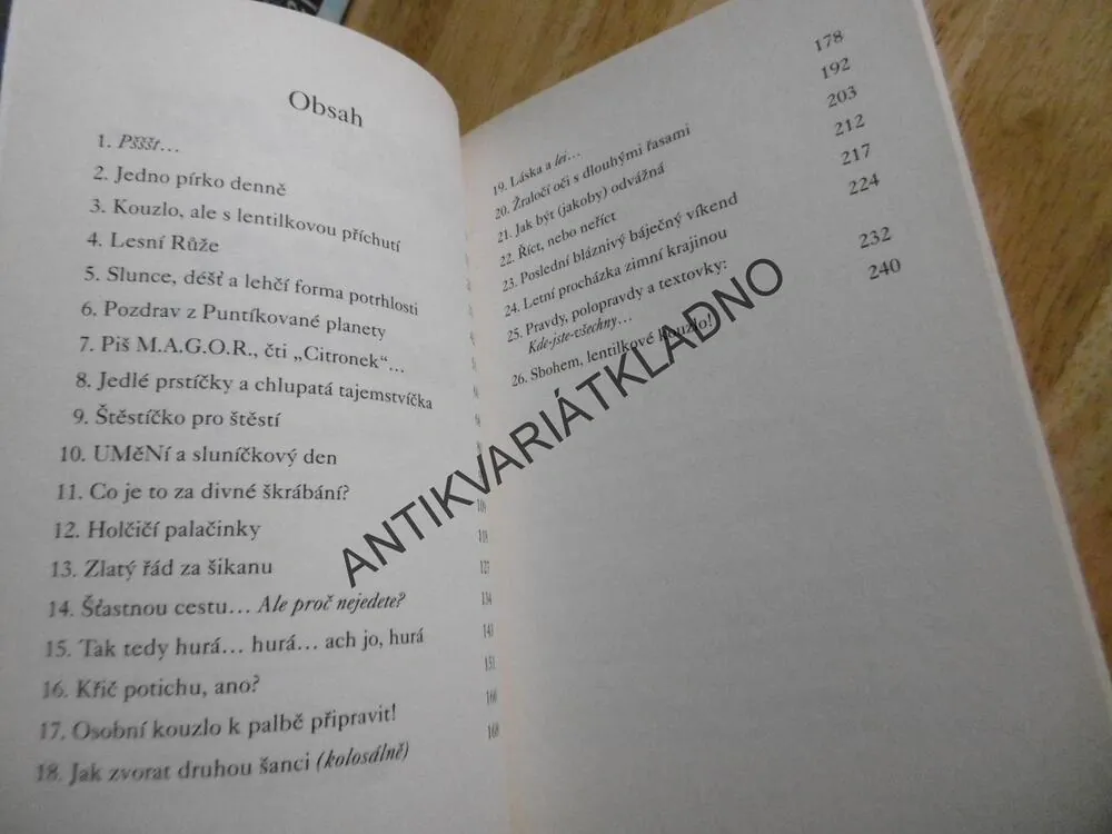 SESTRA, CO SVĚT NEVIDĚL, KAREN MCCOMBIE, **an