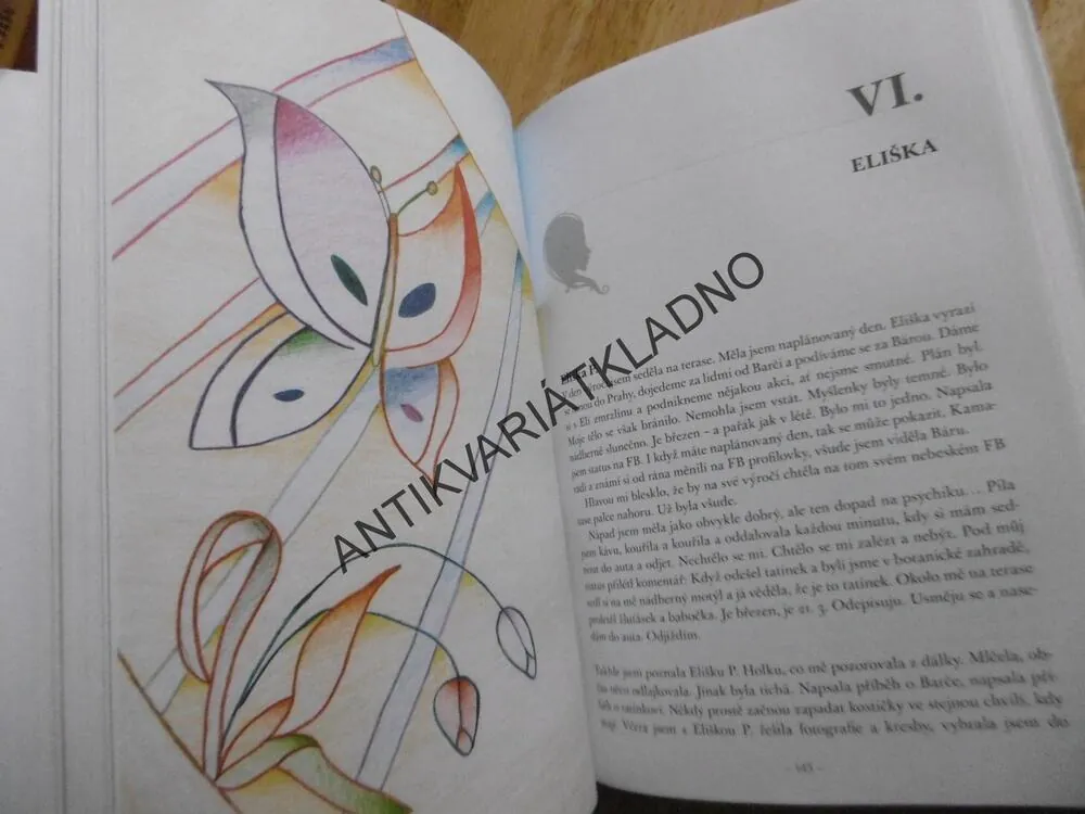 NAJÍT SVĚTLO VE TMĚ, HLEDÁNÍ CESTY ZPĚT DO ŽIVOTA PO ZTRÁTĚ BLÍZKÉ OSOBY, SIMONA VLKOVÁ, **an