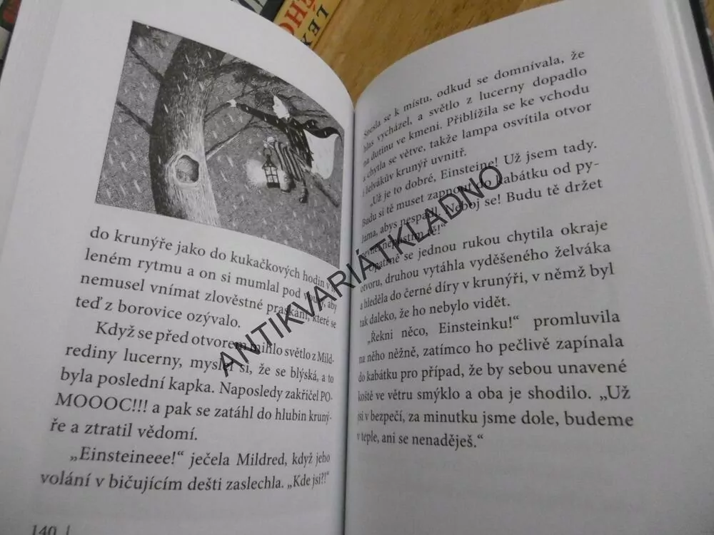 ČARODĚJNICE ŠKOLOU POVINNÉ, UKRADENÉ KOUZLO, JILL MURPHYOVÁ, **an