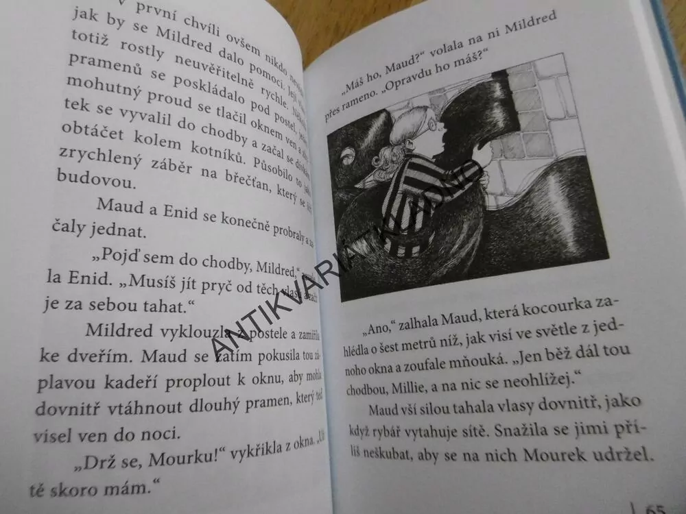 ČARODĚJNICE ŠKOLOU POVINNÉ, AKADEMIE V OHROŽENÍ, JILL MURPHYOVÁ, **an
