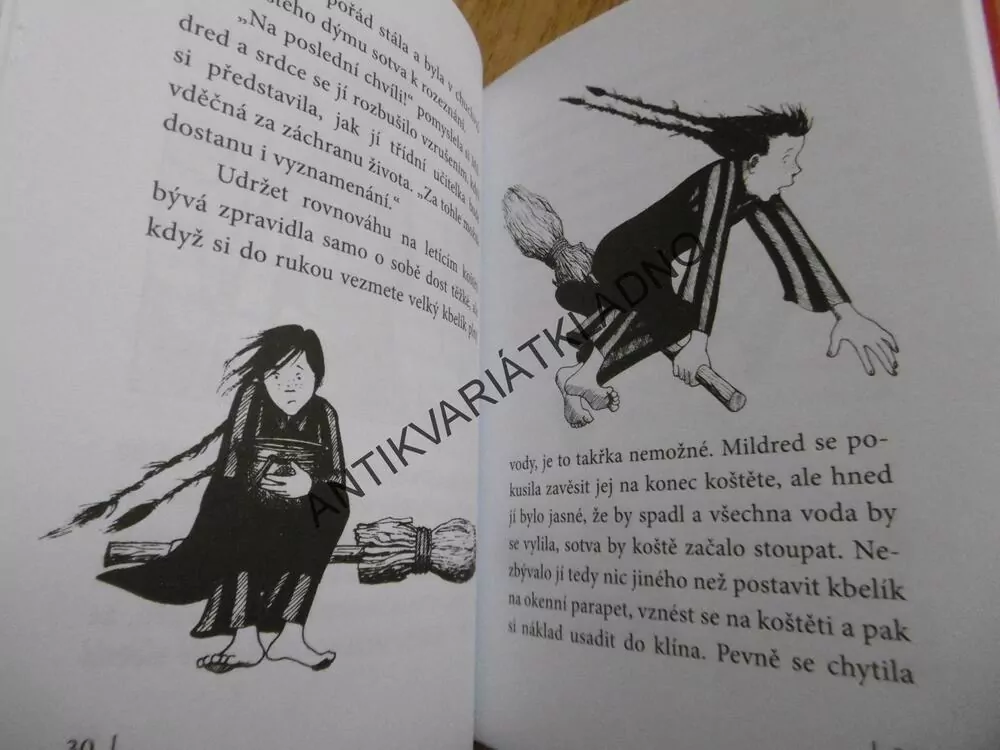 ČARODĚJNICE ŠKOLOU POVINNÉ, ZAKLETÝ KOUZELNÍK, JILL MURPHYOVÁ, **AN