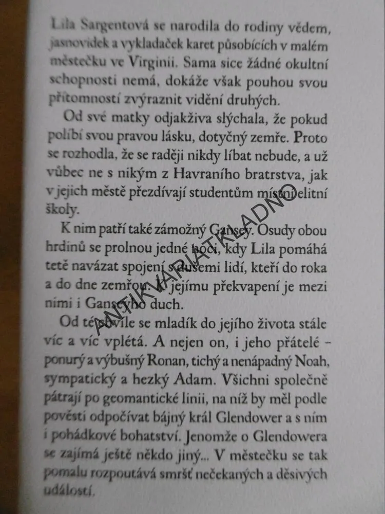 OSUDNÝ POLIBEK, MAGGIE STIEFVATEROVÁ, **an