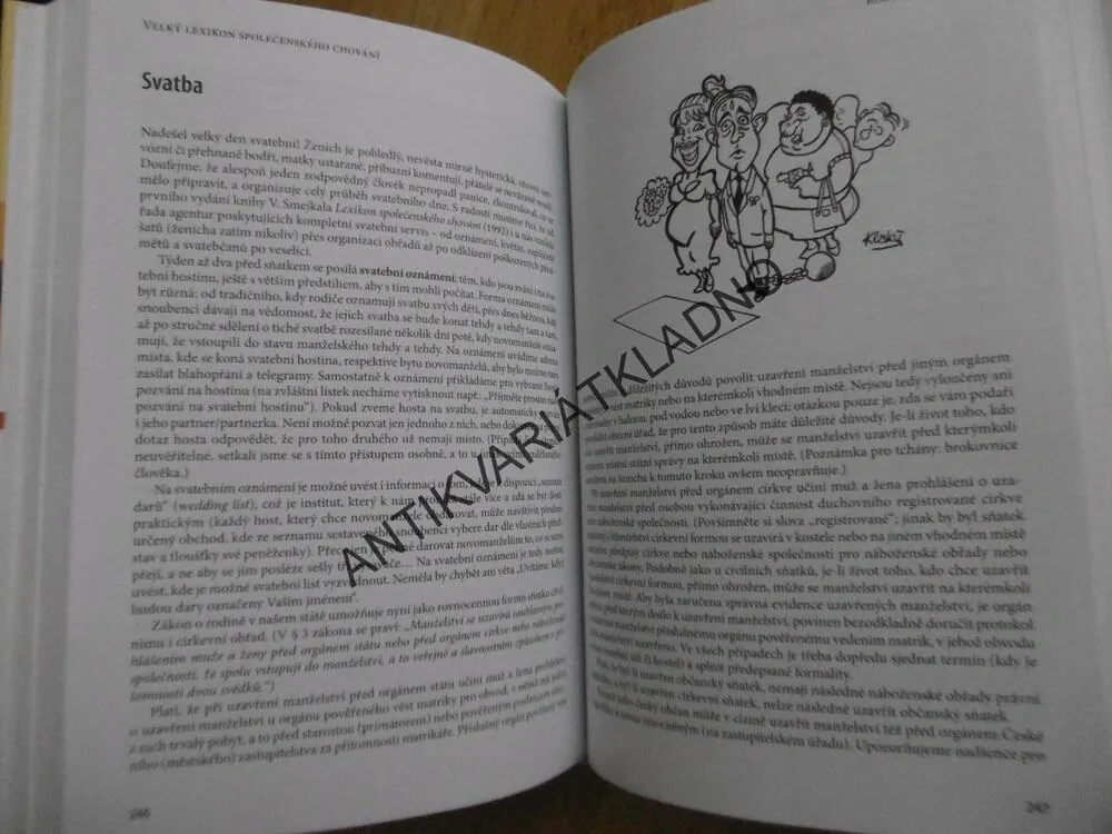 LEXIKON SPOLEČENSKÉHO CHOVÁNÍ, VLADIMÍR SMEJKAL, HANA BACHRACHOVÁ, **AN