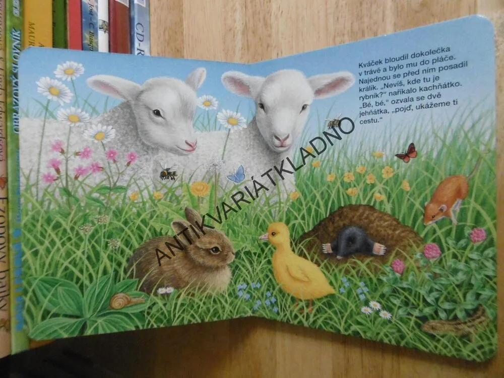 KVÁČKOVO PRVNÍ DOBRODRUŽSTVÍ, **an