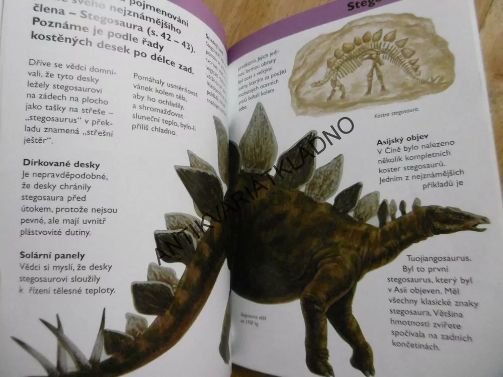 DINOSAUŘI, ZÁKLADNÍ FAKTA V MALÍČKU, **AN
