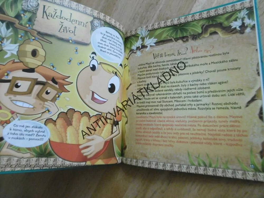 HONBA ZA POKLADEM, ZÁHADNÝ SVĚT MAYŮ, **AN