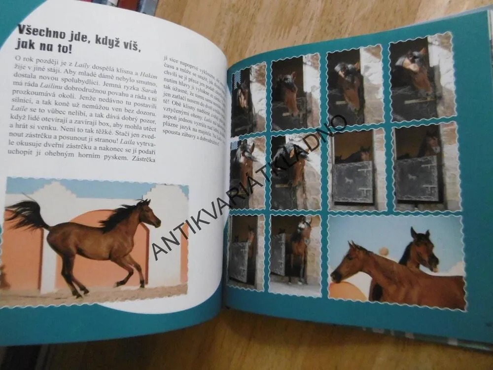 VLÁDCI POUŠTĚ, CHRISTIANE SLAWIK, **an