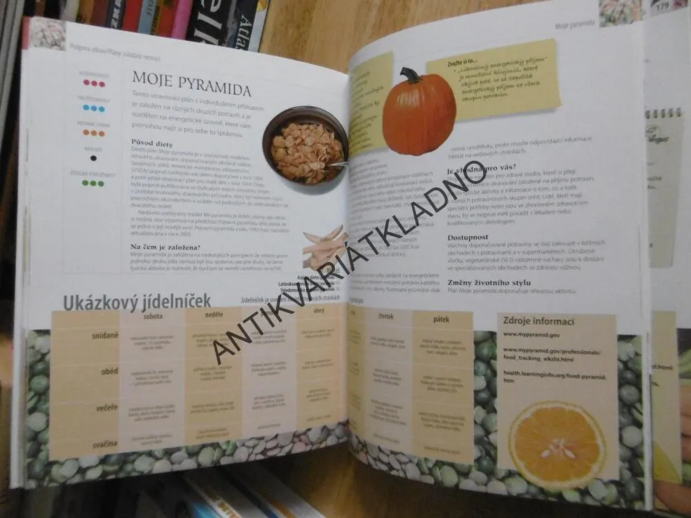 VELKÝ PRŮVODCE DIETAMI,JUDITH C. RODRIGUEZOVÁ, **an
