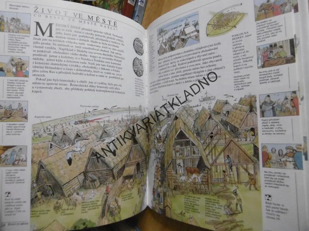 KDYBYCH BYL VIKING, CESTY DO MINULOSTI,  **an