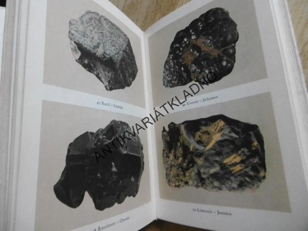 NEROSTY, 1-2. JIŘÍ KOUŘIMSKÝ, **an