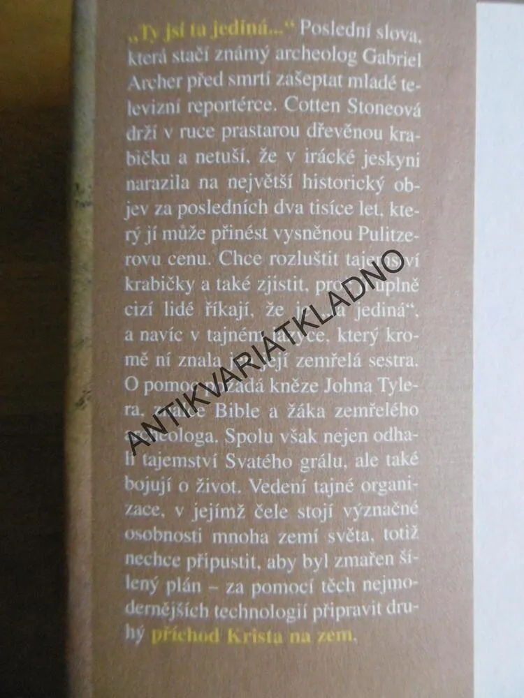 SPIKNUTÍ GRÁLU, LYNN SHOLESOVÁ, JOE MOORE, **an