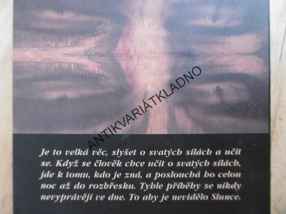TRNOVÁ DÍVKA, JÁCHYM TOPOL, **an