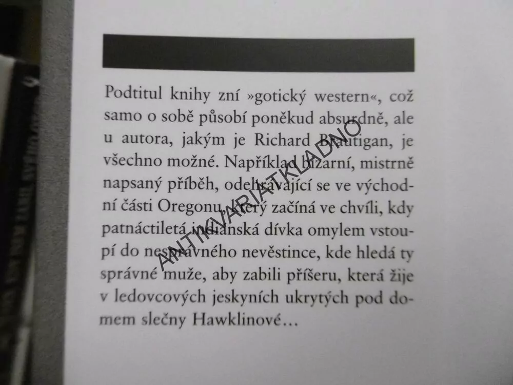 HAWLINSKÁ NESTVŮRA, RICHARD BRAUTIGAN, **an