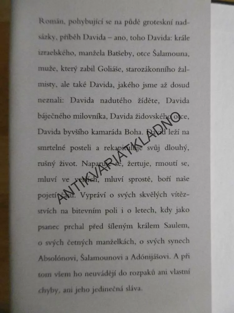 BŮH VÍ, JOSEPH HELLER, **an
