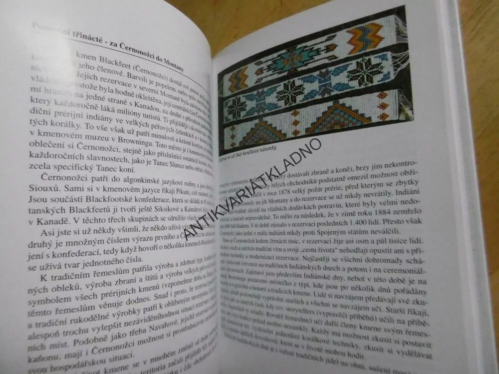 INDIÁNSKÁ PUTOVÁNÍ, MARIE BRAHOVÁ, AMERIKA, INDIÁN