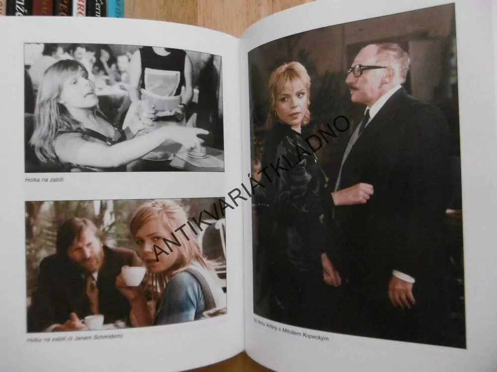 HOLKA NA ZABITÍ - DAGMAR VEŠKRNOVÁ-HAVLOVÁ, JAN BAUER, **an
