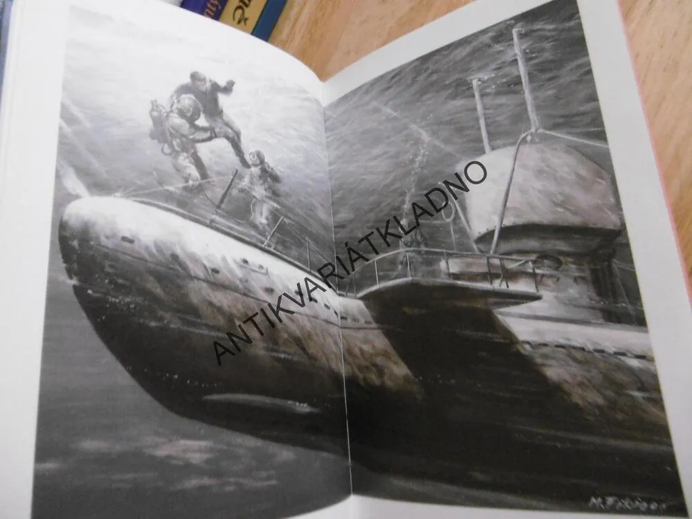 ZAPOMENUTÝ OSTROV, WOLFGANG HOHLBEIN, **an