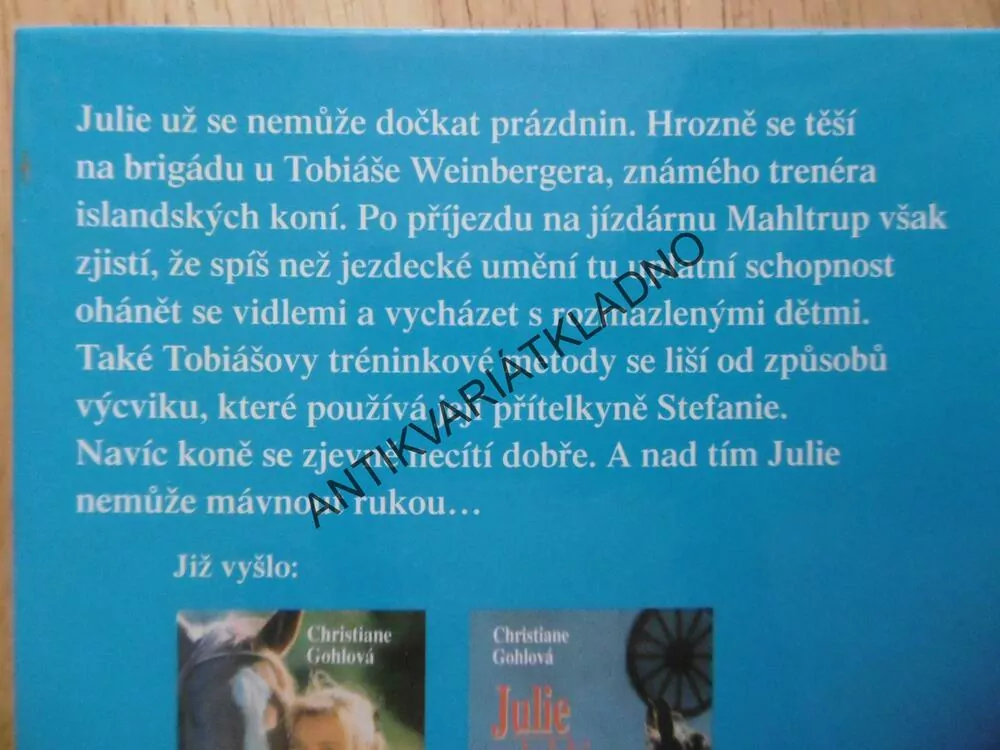 JULIE NA PRÁZDNINÁCH, CHRISTIANE GOHLOVÁ, **an