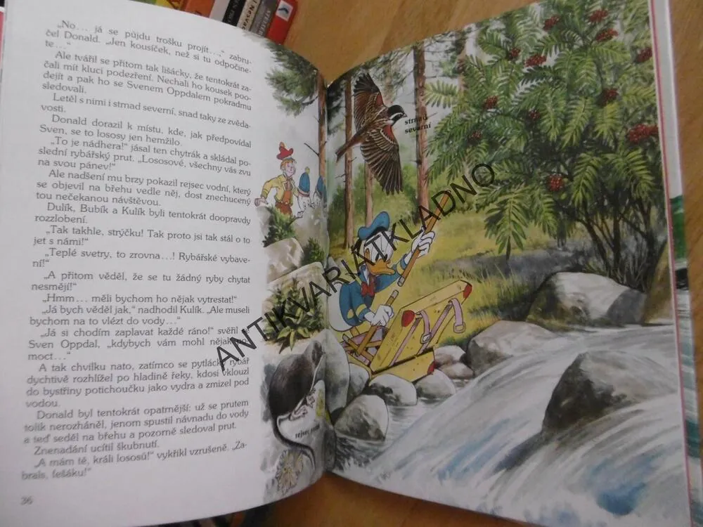 WALT DISNEY, CESTY LOSOSŮ, **AN