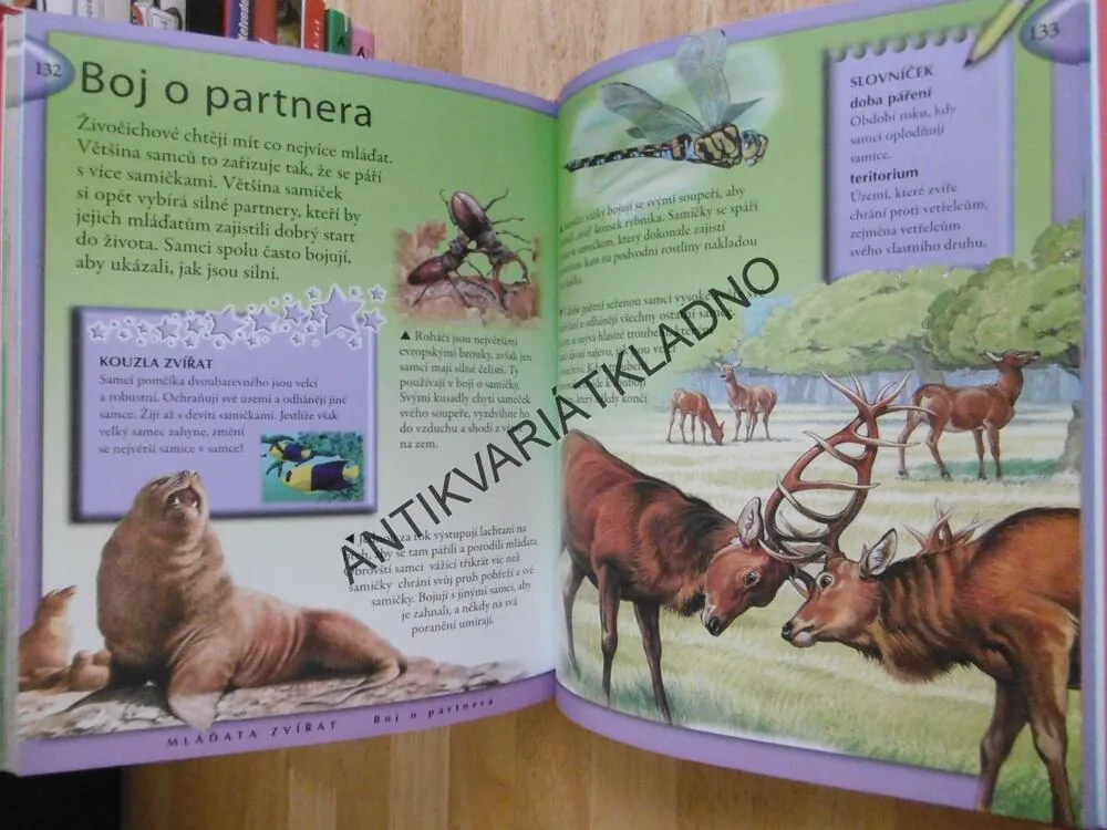 VŠE CO BYSTE MĚLI VĚDĚT O ZVÍŘATECH, **an